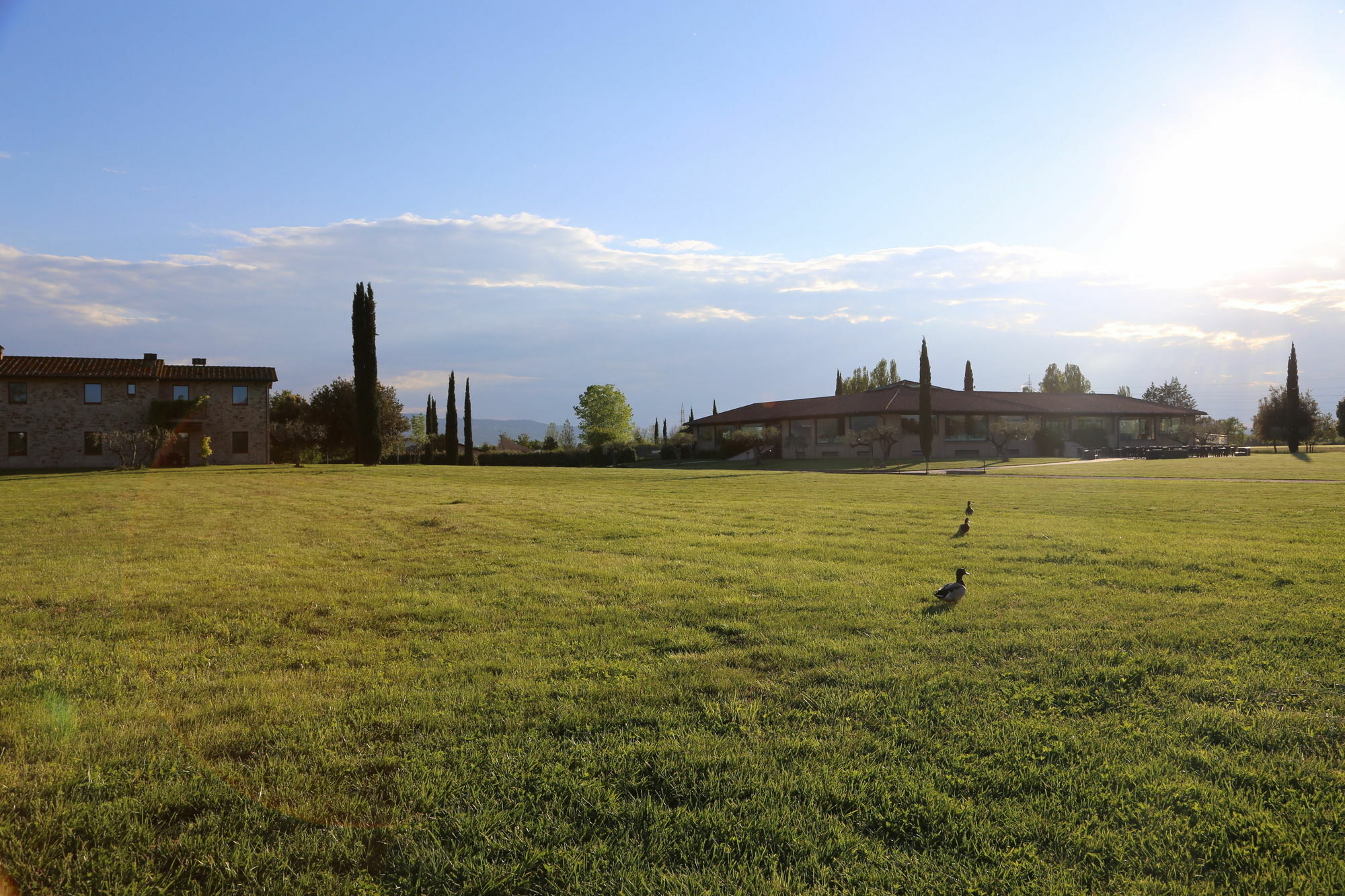 Valle Di Assisi Country Apartments Extérieur photo
