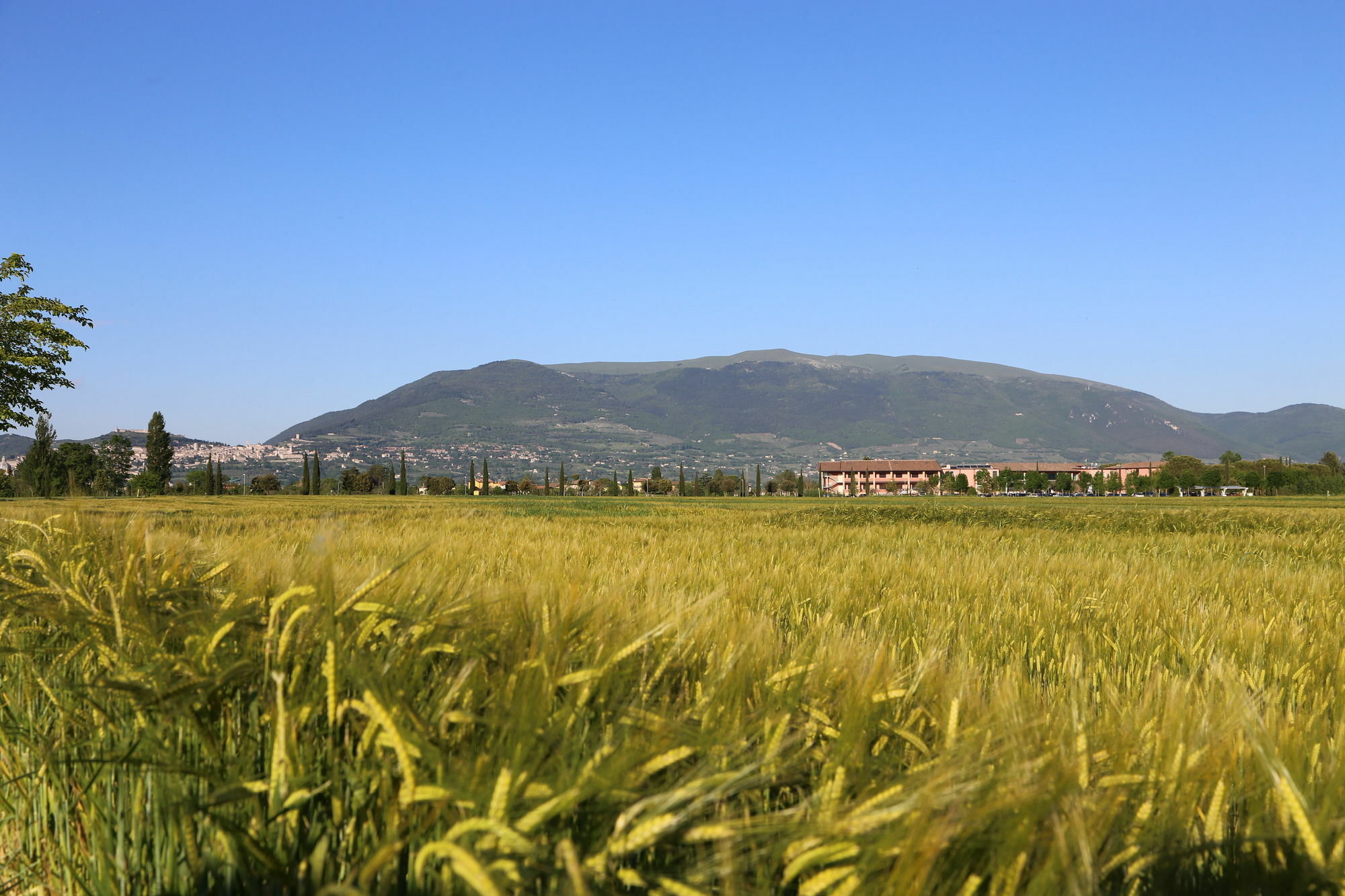 Valle Di Assisi Country Apartments Extérieur photo